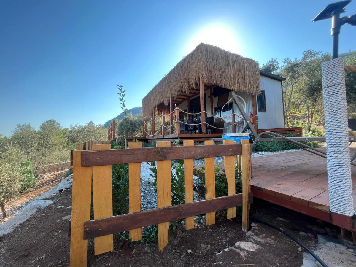 Lovin Goecek Tiny House Butterfly Villa Gokceovacik Eksteriør billede